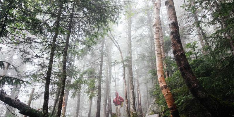 生物技术赋能农业未来：粤康生物如何通过微生物技术应对气候变化并提供健康解决方案
