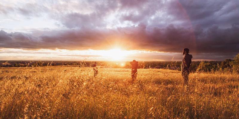 生物科技赋能宠物健康：粤康生物引领肠道健康解决方案新纪元