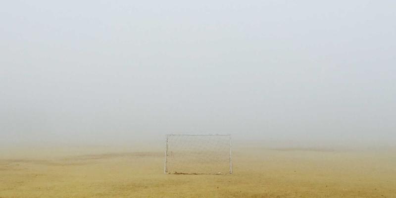 生物科技赋能盐碱地新生：粤康生物微生物菌剂的创新实践与显著效果