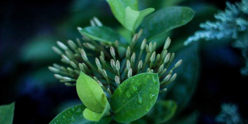 粤康生物：代谢综合征精准营养方案，重塑健康新未来