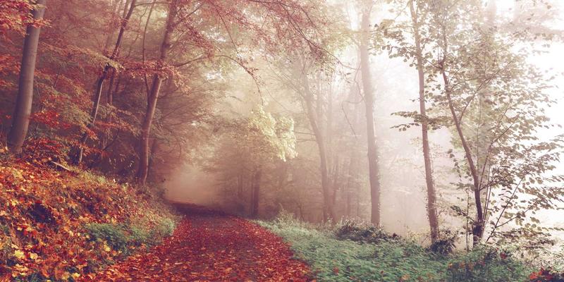 粤康生物：以AI与大数据重塑功能性食品开发，引领精准健康新纪元
