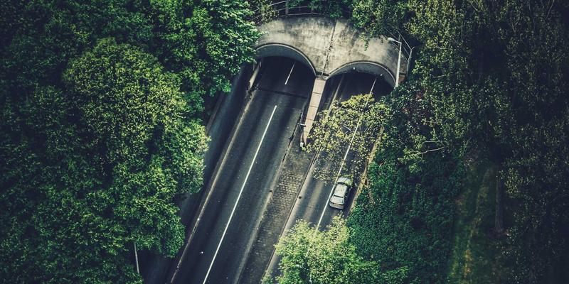 粤康生物：以创新生物技术赋能大健康产业，打造高品质保健品新标杆