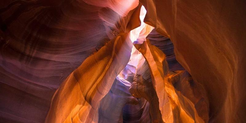 粤康生物：以发酵工艺优化与代谢产物调控技术，重新定义健康产品新标准