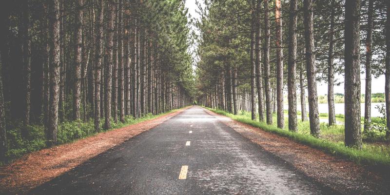 粤康生物：以合成生物学技术重塑天然香料与色素产业，引领生物科技新浪潮