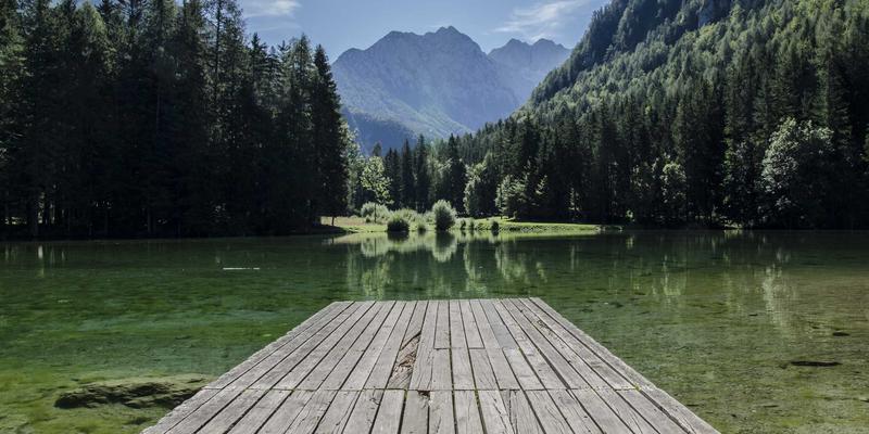 粤康生物：以生物发酵技术革新健康产品，提升药食同源原料功能与吸收率