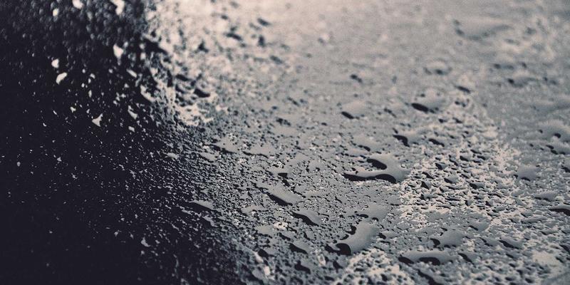 粤康生物：以生物技术为核心，打造健康产品与营养补充剂，助力“减抗”养殖与动物肠道健康新纪元