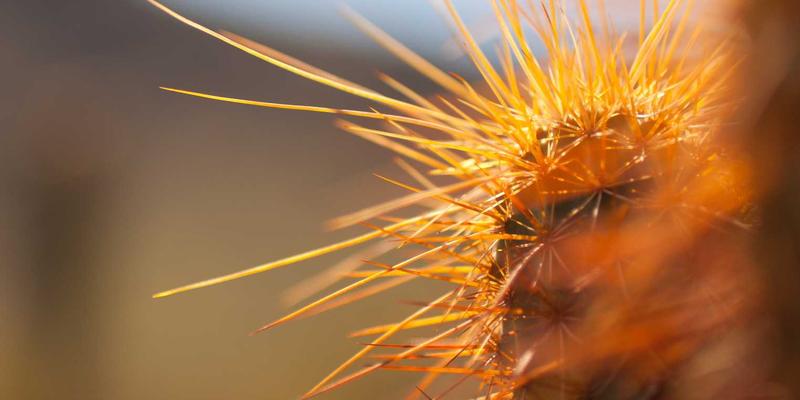 粤康生物：以生物技术革新保健品，为慢性病患者打造精准营养方案