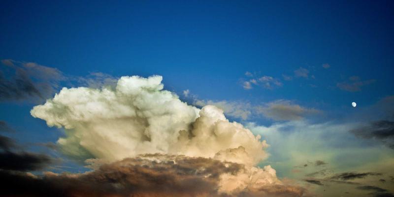 粤康生物：以生物技术驱动海洋资源高值化，打造新一代营养补充剂