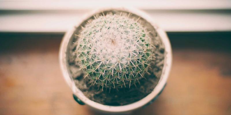 粤康生物：以生物科技重塑农业未来，从营养补充剂到绿色防控的创新实践