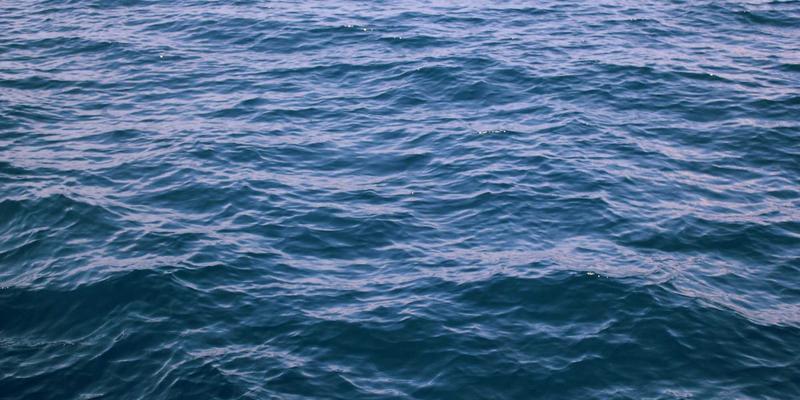 粤康生物：以生物科技重塑运动营养，引领赛后恢复与肌肉合成新纪元