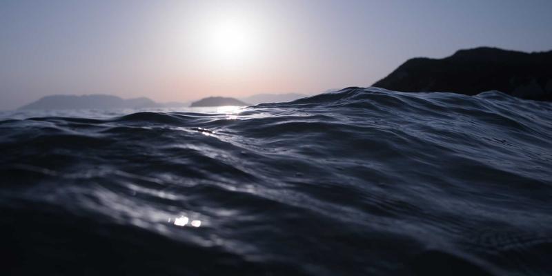 粤康生物：以生物科技驱动特医食品（FSMP）研发，从临床需求到精准营养转化