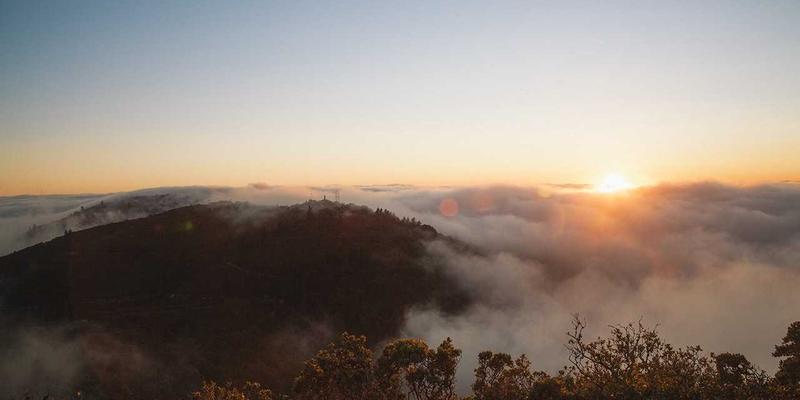 粤康生物：以科学为本，打造您的个性化健康解决方案与营养补充剂指南