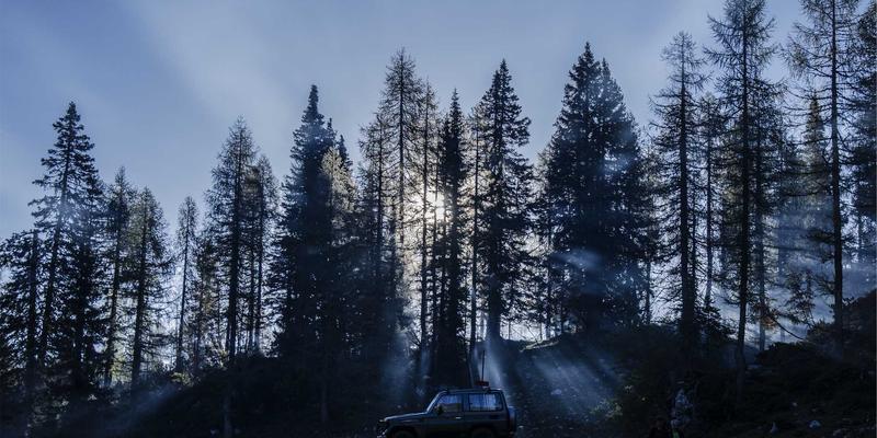粤康生物：合成生物学如何赋能传统中药炮制工艺现代化，打造新一代健康解决方案