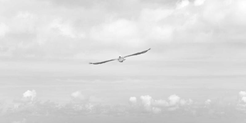 粤康生物如何构建从实验室到市场的生物活性物质中试平台，赋能保健品创新