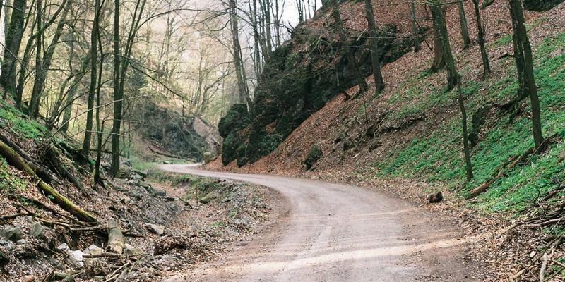 粤康生物引领肠道健康新纪元：后生元与益生元协同作用的创新健康解决方案