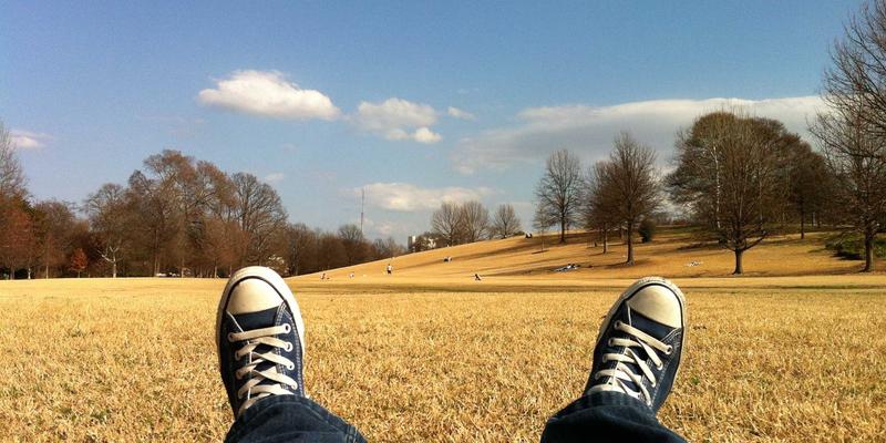粤康生物打造智慧农场：物联网与生物数据如何重塑保健品原料的精准农业实践