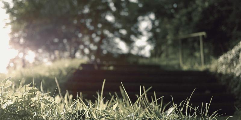 粤康生物科技：解码营养补充剂的生物技术创新之路