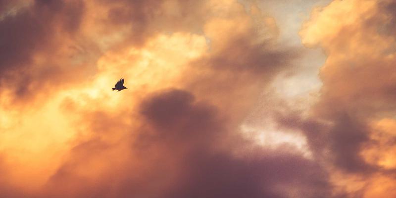 粤康生物聚焦母婴健康：以益生菌与天然产物科技重塑营养补充剂新标准