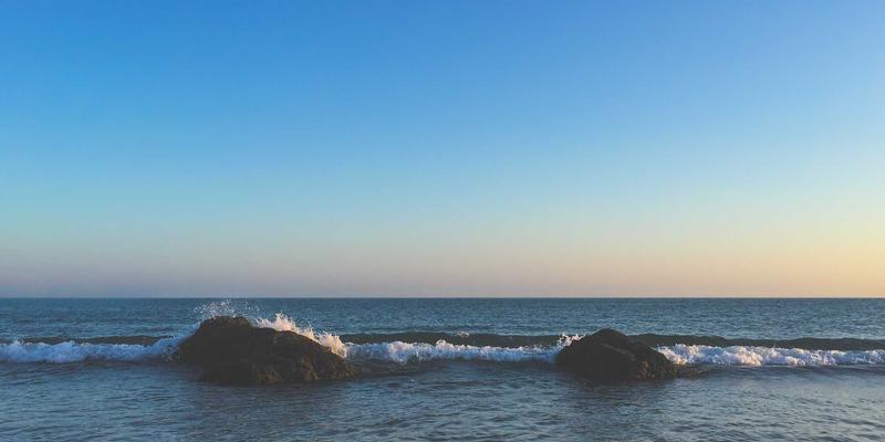粤康生物：融合前沿生物技术，重塑健康解决方案与营养补充剂的未来