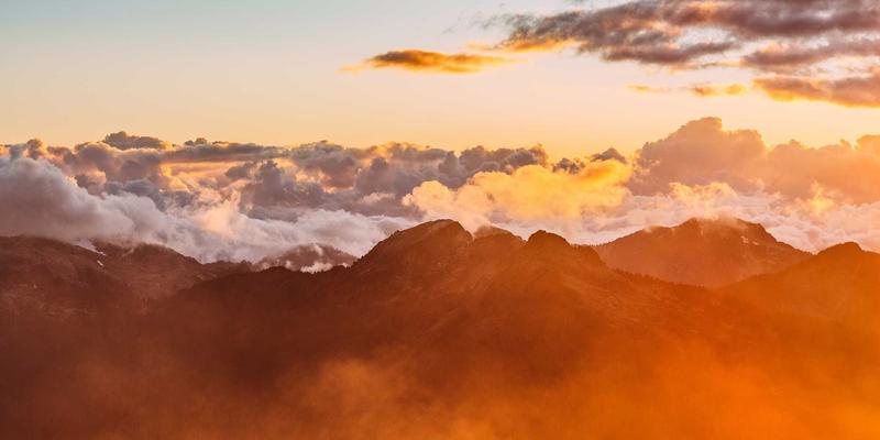 粤康生物：解码华南生物技术研发实力，如何重塑健康解决方案与保健品未来