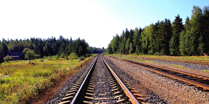 粤康生物：解码肠道菌群奥秘，开启个性化益生菌定制健康新时代