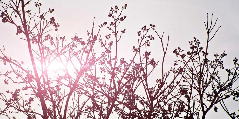 粤康生物：解码运动营养新纪元，为不同人群定制能量与恢复解决方案