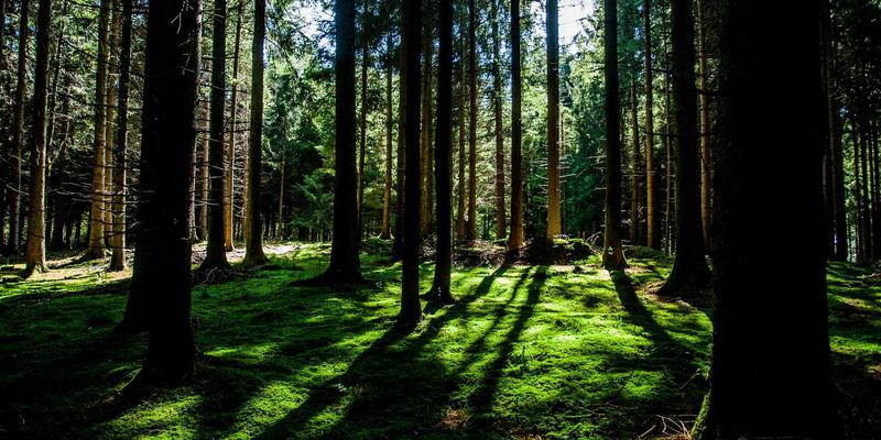 粤康生物：跨界解析肠道微生态与植物微生态的协同，引领健康产品新未来