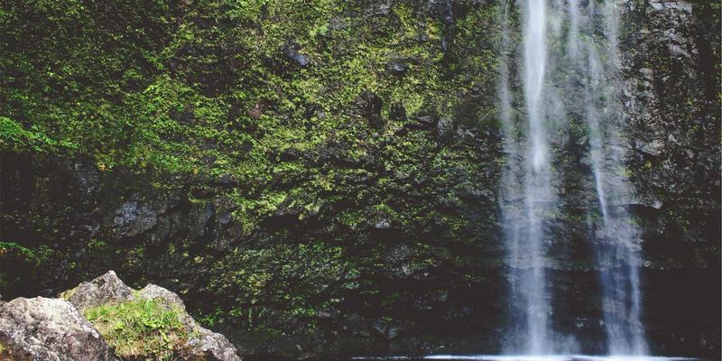 精准营养新纪元：粤康生物如何通过靶向肠道菌群技术革新营养补充剂与保健品